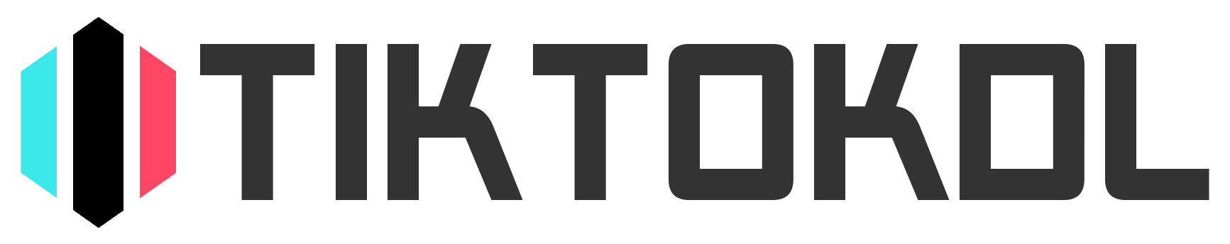 tiktokdl Website Logo